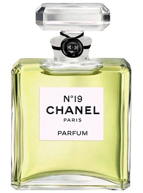 chanel n 19 perfume price|cheap Chanel no 19 perfume.